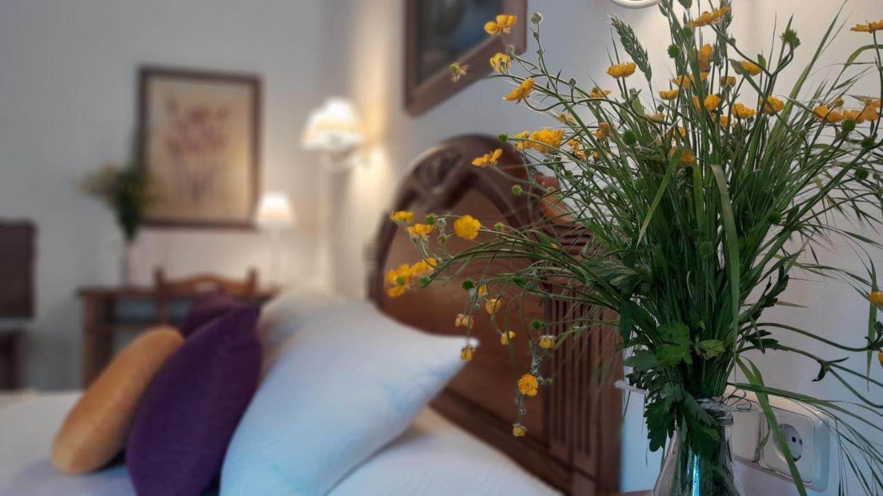 Apartamentos El Haya Cosgaya Bagian luar foto